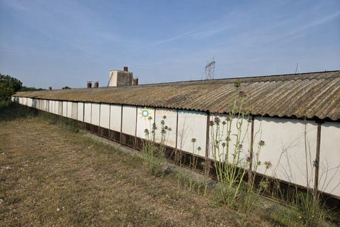 Farm i Beniganim, Valencia, Beniganim - € 67.000 | Ref: PNPT301 - foto 6
